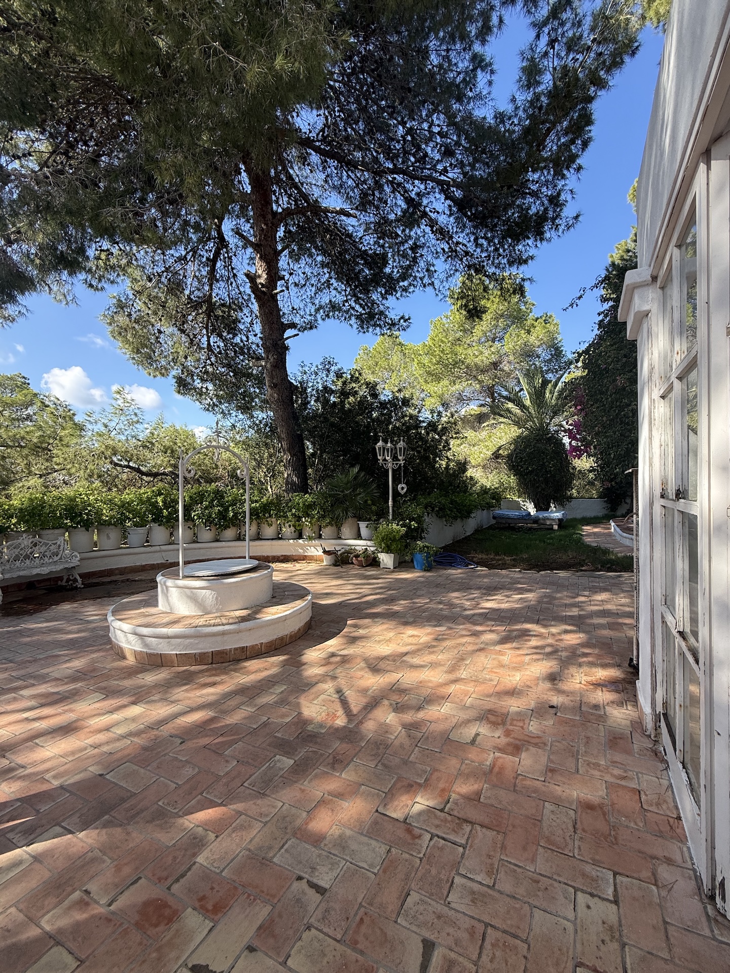Resa Estates for sale te koop project Cala Tarida Ibiza pool patio trees.jpeg